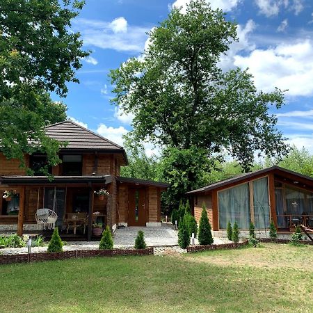 Debowy Zakatek Villa Kazimierz Dolny Exteriör bild